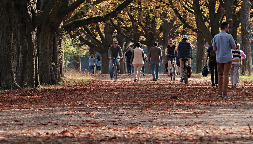Person walking through an autumn park, doing gentle Zone 2 cardio in nature.